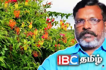 'கார்த்திகை வாசம்' மலர்க்கண்காட்சி கிட்டு பூங்காவில் வெள்ளி ஆரம்பம்! தொல். திருமாவளவன் பங்கேற்பு