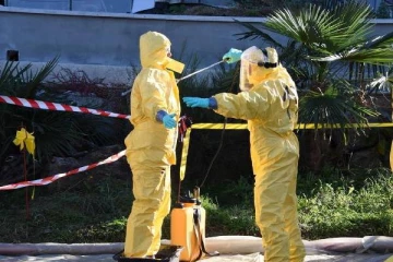 Newcastle தொற்று... சுவிட்சர்லாந்தில் வியாபிக்கும் மர்ம வியாதி