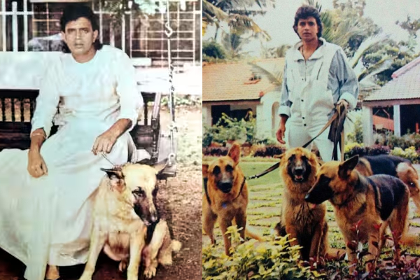 mithun chakraborty dogs