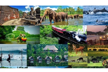 சுற்றுலாத் துறை வருமானத்தில் ஏற்றம் கண்டுள்ள இலங்கை