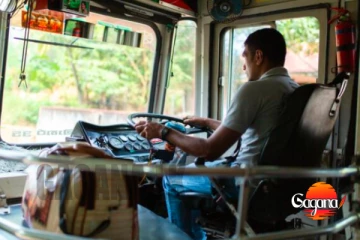පළමු වනදා සිට බස් රියදුරන්ට ආසන පටි අනිවාර්යයි