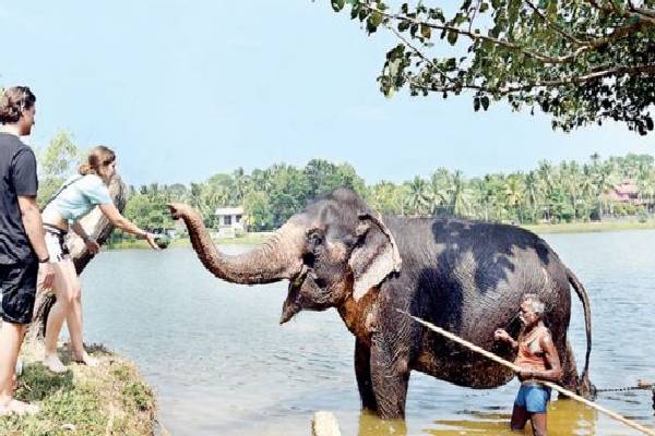 நாட்டில் சுற்றுலாப் பயணிகளின் வருகை அதிகரிப்பு | Increase In Tourist Arrivals In The Country