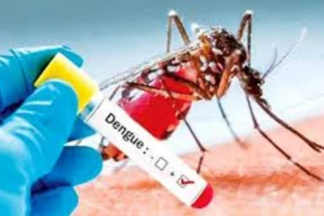 டெங்கு நோய் அதிகரிக்கக் கூடிய நிலைமை