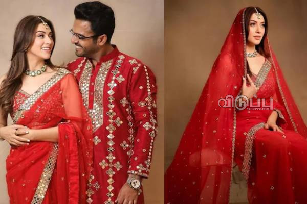 விவாகரத்து பெருகிறாரா ஹன்சிகா? ரெடியாகும் மற்றுமொரு கோலிவுட் ஜோடி! | Hansika Divorce News Goes Viral