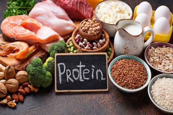 Protein Foods: புரதம் அதிகம் நிறைந்த டாப் 10 உணவுகள் | 10 Easy To Digest Protein Foods Supports Your Gut