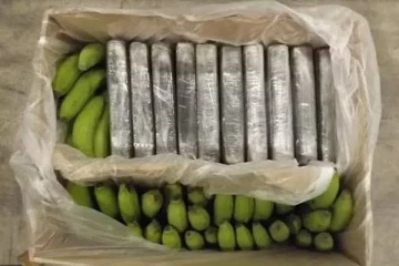 வெளிநாடு ஒன்றிலிருந்து பிரித்தானியாவுக்கு அனுப்பப்பட்ட வாழைப்பழங்கள்: பரிசோதித்த அதிகாரிகளுக்கு காத்திருந்த அதிர்ச்சி