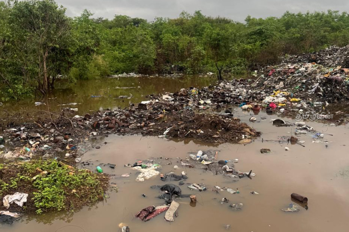 கீரிமலையில் தேங்கிக்கிடக்கும் கழிவுகள்: விசேட விசாரணை குழு அமைக்குமாறு கோரிக்கை | Waste Accumulating At Keerimalai