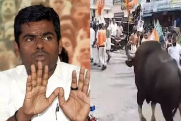 அண்ணாமலை பாதயாத்திரையை தெறிக்கவிட்ட காட்டெருமை - அலறி ஓடிய நிர்வாகிகள்!