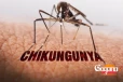 චිකුන්ගුන්යා අවදානම් ප්‍රදේශ මෙන්න....පරිස්සමින්
