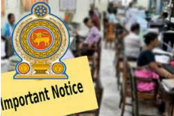 அரச துறையில் புதிய ஆட்சேர்ப்பு : அமைச்சர் வெளியிட்ட தகவல்