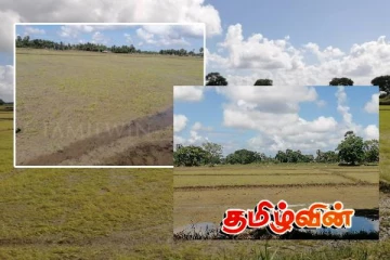 சீரற்ற கால நிலை காரணமாக வெள்ள நீரில் மூழ்கிய வயல் நிலங்கள்