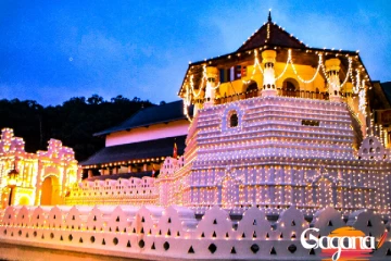 අද මුළු නුවරටම කරන්න යන දේ...මේ අයටත් විශේෂ පෝලිමක්...