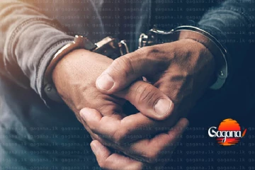 දෙහිවල ඝාතනය කළ 'මුට්ටියා' අත්අඩංගුවට