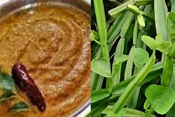 முடக்கு வாதத்துக்கு நிரந்தர தீர்வு கொடுக்கும் பிரண்டை சட்னி... எப்படி செய்வது? | Pirandai Chutney Recipe And Health Benefits முடக்கு வாதத்துக்கு நிரந்தர தீர்வு கொடுக்கும் பிரண்டை சட்னி... எப்படி செய்வது? | Pirandai Chutney Recipe And Health Benefits