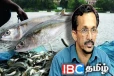 இலங்கைக்கு மீன்களும் இறக்குமதி செய்யப்படலாம் : அமைச்சர் அறிவிப்பு