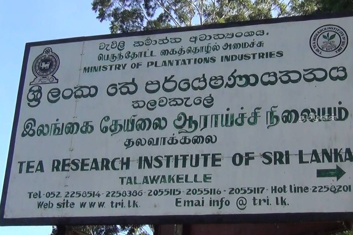 நுவரெலியாவில் சட்டவிரோத மதுபானம் தயாரித்தவர் கைது | Man Arrested For Illegally Producing Liquor