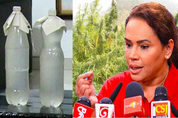 கசிப்பை ஏற்றுமதி செய்ய கோருகிறார் டயானா கமகே : வருமானம் கொளிக்குமாம் | Diana Gamage Demands Export Of Kasippu