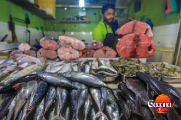 පහළ ගිය මාළු මිල