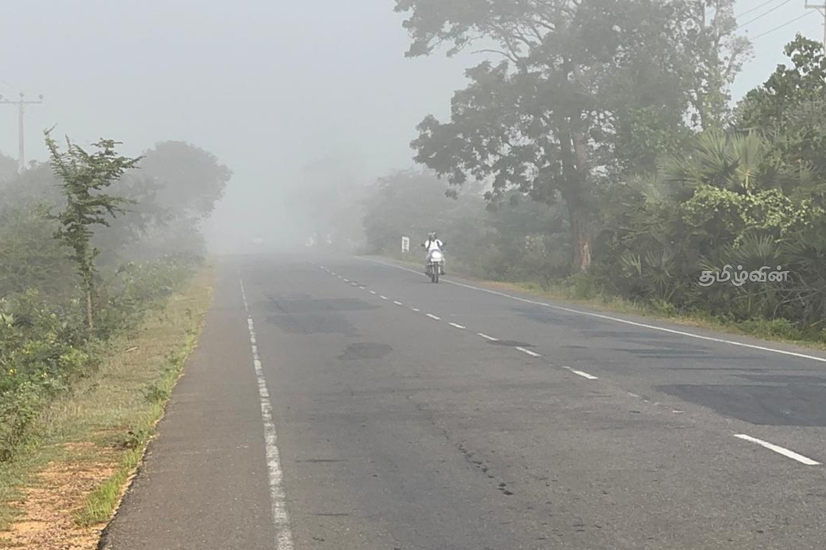 முல்லைத்தீவு புதுக்குடியிருப்பில் கடும் பனிமூட்டம்: இயல்பு வாழ்க்கை பாதிப்பு | Heavy Fog In Mullaitivu