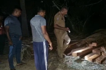 முல்லைத்தீவில் பல இலட்சம் பெறுமதியான மரக்குற்றிகளை வைத்திருந்த இளைஞன் கைது