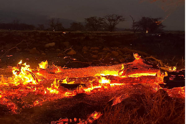 ஹவாய் தீவில் பரவும் காட்டுத் தீ - 53 பேர் பலி | Hawaii Wildland Reliefmaui Fire