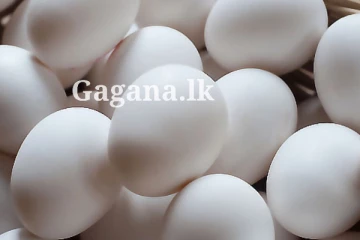 බිත්තර මිලට කුමක් වෙයි ද?. බිත්තර ගැන ගත්ත තීරණයක්..