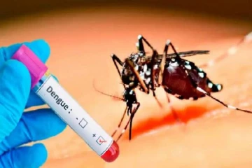 இதுவரையில் 38 டெங்கு மரணங்கள் : மக்களுக்கு விடுக்கப்பட்டுள்ள எச்சரிக்கை