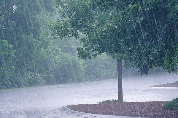 இன்றைய தினத்துக்கான வானிலை அறிக்கை | Today Weather Condition