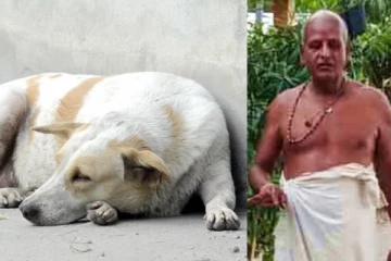 வளர்ப்பு நாயை மரத்தில் கட்டி ரத்தம் வழிய வழிய அடித்துக் கொலை - 2 பேர் மீது போலீசார் வழக்குப்பதிவு