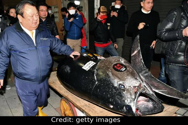 ரூ.28 கோடிக்கு வாங்கப்பட்ட ஒற்றை மீன் - அப்படி என்ன சிறப்பு? | One 234Kg Tuna Fish Sold For 28 Crore In Japan