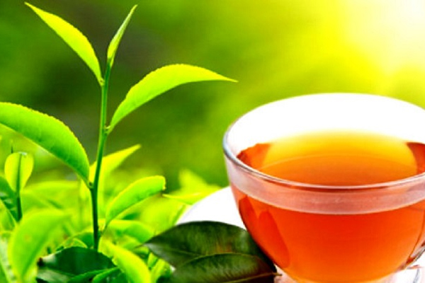 தேயிலை உற்பத்தியில் கணிசமான உயர்வு | Substantial Rise In Tea Production