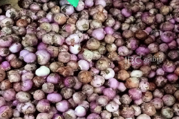 வாராந்த பொதுச் சந்தையில் மனித பாவனைக்குதவாத மரக்கறிகள் அழிப்பு | Vegetables Not Fit For Human Consumption