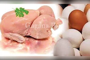 ලග එන උත්සව සමයේ වෙළඳපොළේ කුකුළු මස් සහ බිත්තර වලට මොකක් වෙයිද..