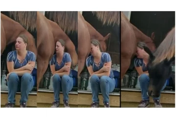 நீ அழாதே... நான் இருக்கேன்... - துக்கத்தில் இருந்த பெண்ணை கட்டியணைத்த குதிரை...!