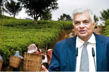 1700 ரூபா வேதனத்தை வழங்க இணங்கியுள்ள 7 கம்பனிகள்: ஜனாதிபதி