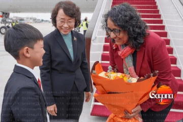 අගමැති හරිනි චීන ජනාධිපතිවරයා සහ අගමැති හමුවෙයි