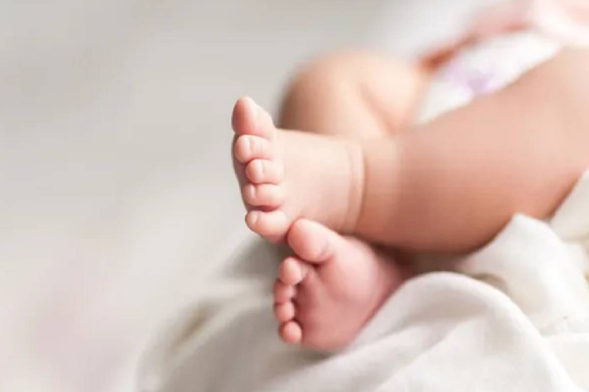 தேங்காய் தலையில் விழுந்து ஒன்றரை வயது ஆண் குழந்தை பலி | One Year Old Boy Dies Coconut Falls On His Head