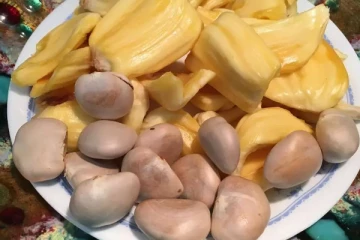 பலாப்பழ கொட்டையில் உருண்டை செய்து சாப்பிட்டால் என்ன பலன் கிடைக்கும்? தெரிஞ்சிக்கோங்க!