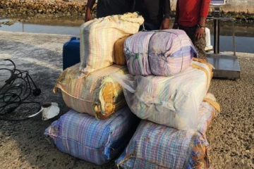 யாழில் பெரும் தொகை கேரள கஞ்சா பறி முதல்