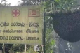 லிந்துலையில் குளவிக் கொட்டுக்கு இலக்காகி ஒருவர் உயிரிழப்பு! நால்வர் வைத்தியசாலையில்