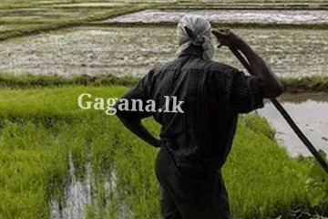 පොහොර මිල දී ගැනීම සම්බන්ධයෙන් ගොවීන්ට පණිවිඩයක්.