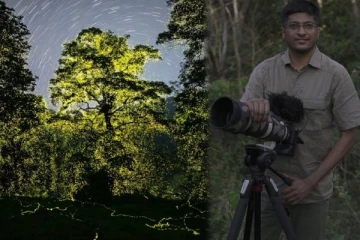 டான்ஸ் ஆடிய மின்மினிப் பூச்சிகள்.. இயற்கை அழகை தத்ரூபமாக படம் பிடித்த புகைப்பட கலைஞர்!