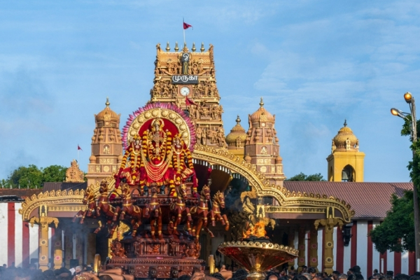 ஏழு குதிரைகள் பூட்டிய ரதத்தில் சூர்யோற்சவம் ; பக்தர்களுக்கு காட்சி தந்த நல்லூர் கந்தன் | Nallur Kandaswamy Temple Soorasamharam