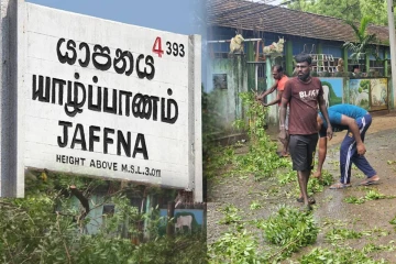 திடீரென முறிந்து விழுந்த மரத்தால் போக்குவரத்து தடை!