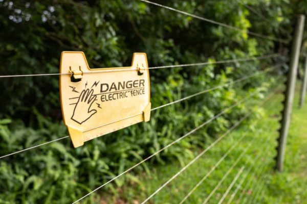 யாழ்.கிளானையில் மின்சாரம் தாக்கி குடும்பஸ்தர் உயிரிழப்பு | Man Dies After Being Electrocuted In Jaffna