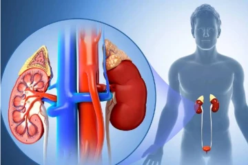 நீங்கள் 30 வயதைக் கடந்துவிட்டீர்களா? அப்போ சிறுநீரகம் செயலிழக்க வாய்ப்புள்ளது