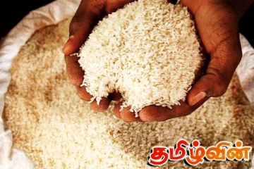 நாட்டில் ஏற்பட்டுள்ள அரிசி பற்றாக்குறை: விநியோகஸ்தர் தரப்பு விளக்கம்