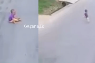 ඔයාගේ ගෙදරත් පුංචි බබෙක් ඉන්නවා ද?. - එහෙනම් ඔයා මේ දේ ගැනත් දැනගන්නම ඕන.. (VIDEO)