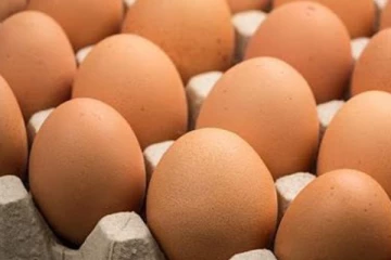 බිත්තර ගැන තවත් පිරිසක් කියන දේ..