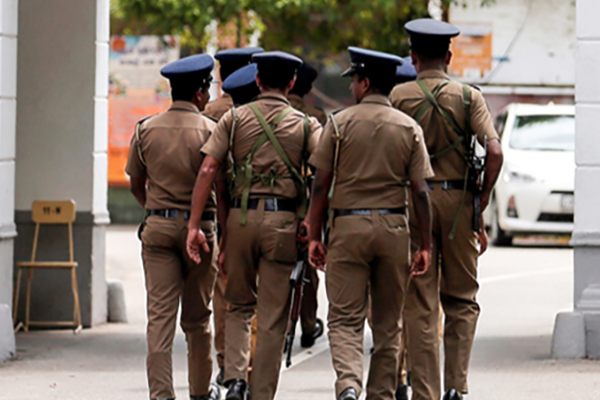 யாழில் பொன்னாலை காட்டுப்பகுதியில் 240 கிலோகிராம் கஞ்சா மீட்பு | 240 Kilograms Of Cannabis Recovered Forest Jaffna